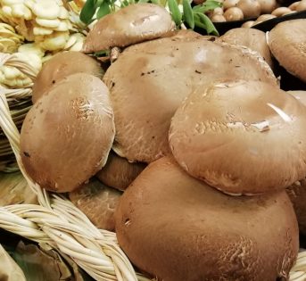 Funghi, alleati del cuore e del fegato
