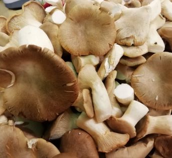 Mercati, profumi e sapori d’autunno