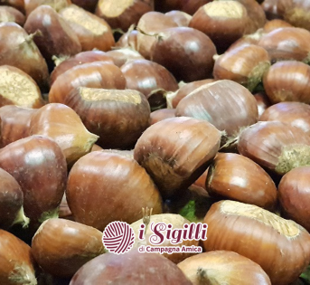 Sigilli, il giro d’Italia delle castagne (o marroni)