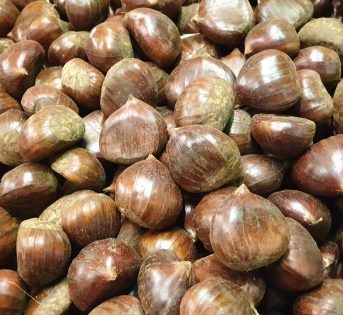 È arrivato il momento di… castagne e vino!