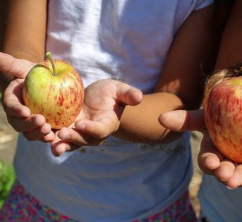 Salute, in Italia 1 milione e mezzo di bambini affamati. Non solo obesi
