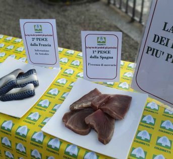 Forum agroalimentare, ecco la top ten dei cibi più pericolosi