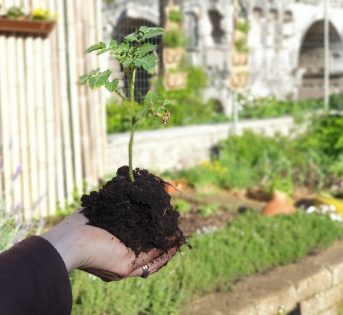 Salviamo il suolo e salveremo la nostra vita