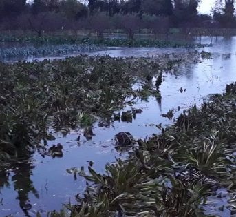 Maltempo, ingenti danni in tutta Italia