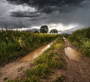 Maltempo, i danni in agricoltura salgono a 14 miliardi di euro