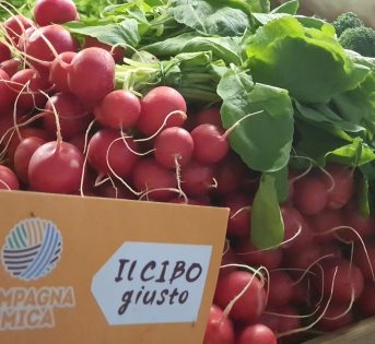 Il cibo giusto per tornare in forma dopo le Feste