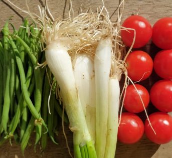 Dieta mediterranea, vince la sfida mondiale