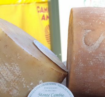 Formaggi, che passione!