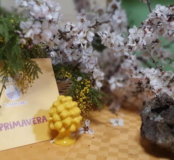 Il clima chiama, l’inverno non risponde