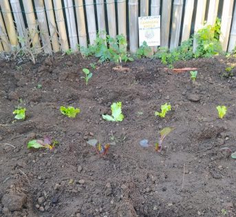 Clima, è allarme siccità in pieno inverno