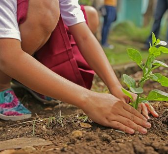 M’illumino di Meno, spegni la luce e pianta un albero!