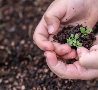 Earth Day 2020, il 22 Aprile sarà il “One People, One Planet”