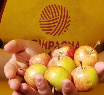 Speciale biodiversità, un tesoro da custodire e salvaguardare