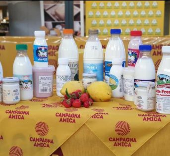 Speciale latte – Quante tipologie e trattamenti esistono?