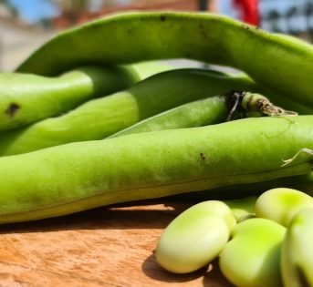 Fave, il legume che fa bene alla vista e alle ossa