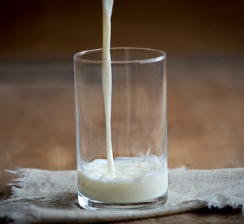 Speciale latte – Il racconto del territorio