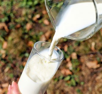 Speciale latte – Alla scoperta dell’oro “bianco”