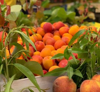 Albicocche, concentrato di benessere e gusto