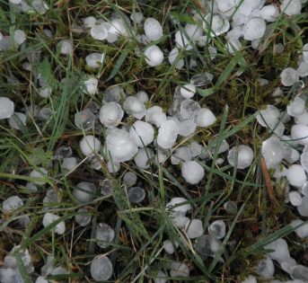 Maltempo, 5 grandinate al giorno. È strage nei campi