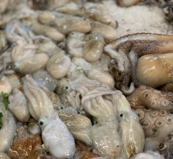 M…come moscardino, il mollusco prelibato e versatile