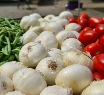 Cibo italiano festeggia il bicentenario della nascita di Pellegrino Artusi