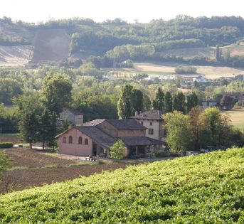 Ferragosto 2020, in 400mila scelgono l’agriturismo