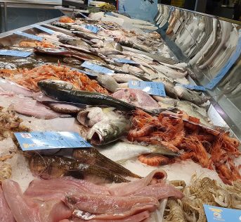 Pesca, scatta il fermo su Tirreno e Ionio