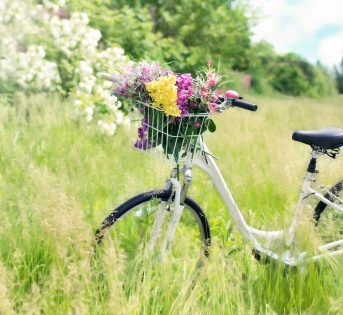 Campagna Amica… della bici