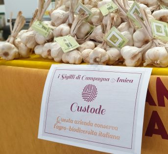 La biodiversità conquista i mercati di Campagna Amica