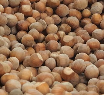 Nocciole, frutta secca amica del cuore