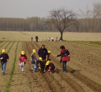 Welfare: Inipa Coldiretti Educational forma i manager di Agricoltura Sociale