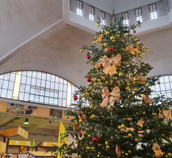 Natale, l’albero si compra al mercato di Campagna Amica