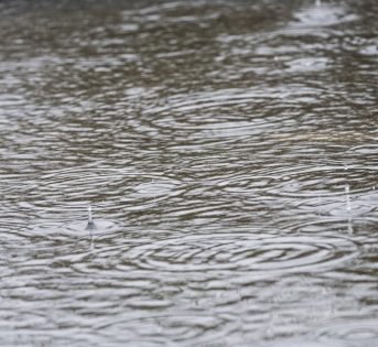 Maltempo, milioni di danni. Campagne sott’acqua
