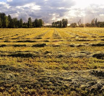 Clima, nel 2020 quattro tempeste al giorno e caldo record