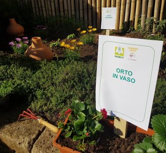 Primavera, italiani nell’orto