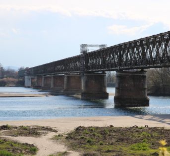 Giornata acqua, Po a secco come ad agosto. Sos siccità