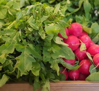 Mercati di Roma: cibo locale, sicuro e di stagione