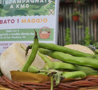 Primo maggio, picnic all’aria aperta per 1 italiano su 2