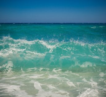 Giornata mare, è sos pesce italiano