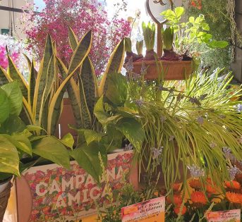 Mercati romani tra cibo, solidarietà e omaggi floreali