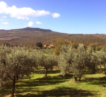 Esodo, turismo del cibo per 25 milioni di italiani