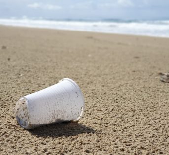 Gli oceani, la culla della vita