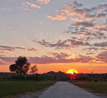 Zona bianca, è boom di prenotazioni