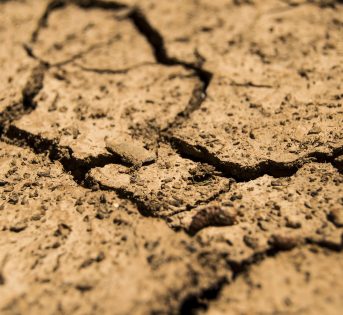 Siccità, piani di emergenza per salvare l’agricoltura italiana