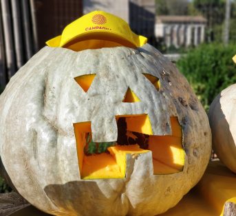 Zucca day arriva nei mercati e agriturismi di Campagna Amica