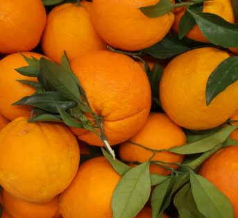 La corretta etichettatura dell’ortofrutta