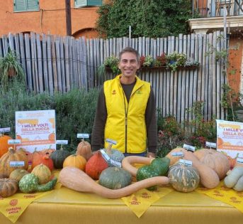 Halloween, clima pazzo taglia del 10% la raccolta