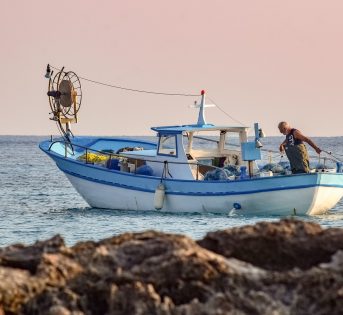 Pesci e mari d’Italia