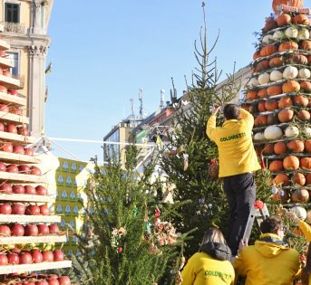 Natale 2023, ecco i segreti dell’albero perfetto