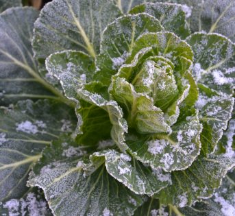 Clima, Italia al gelo e sotto la neve